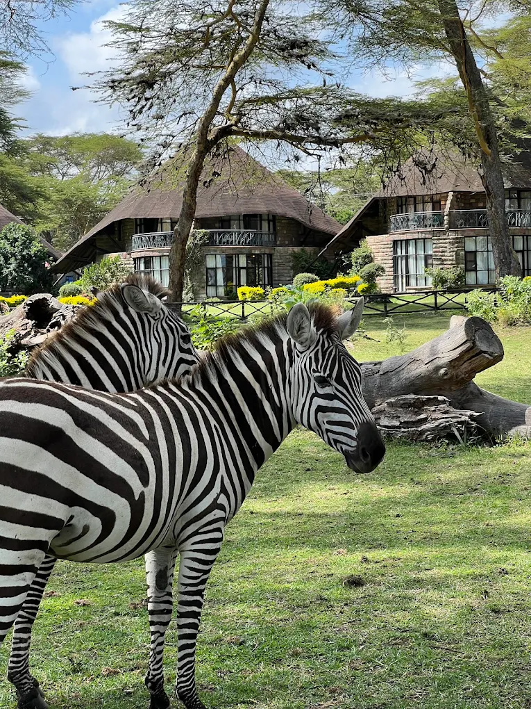 Lake Naivasha Sopa Resort - Naivasha hotel view 6
